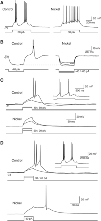 Figure 5.