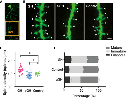 Figure 3.