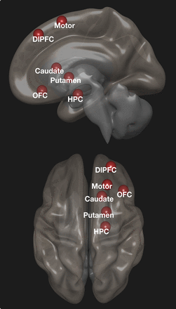 Figure 7.