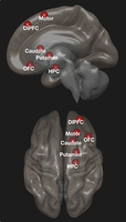 Figure 7.
