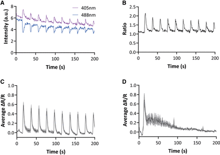 Figure 2.
